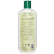 Aubrey Organics GPB Balancing Protein Shampoo Nutrient Blast Normal 11 fl oz 325ml Online now