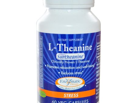 Enzymatic Therapy, L-Theanine, Stress, 60 VCaps - Dietary Supplement Discount