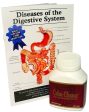 Denmar International Colon - Cleanse 125 g - Health Supplement Online Hot Sale