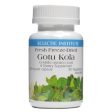 Eclectic Institute Gotu Kola 300 mg 90 Veggie Capsules For Discount