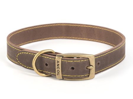 Ancol Timberwolf Leather Collars Sable 8 Sizes For Discount