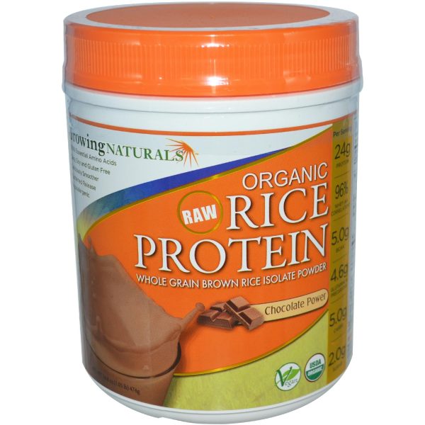 Growing Naturals Organic Raw Rice Protein Chocolate Power 476 g Online now