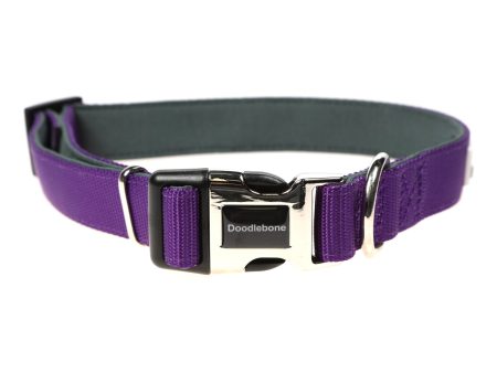 Doodlebone Originals Padded Dog Collar Violet 3 Sizes Online Sale