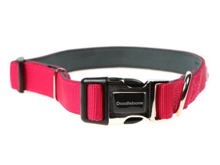 Doodlebone Originals Padded Dog Collar Fuchsia 3 Sizes Cheap