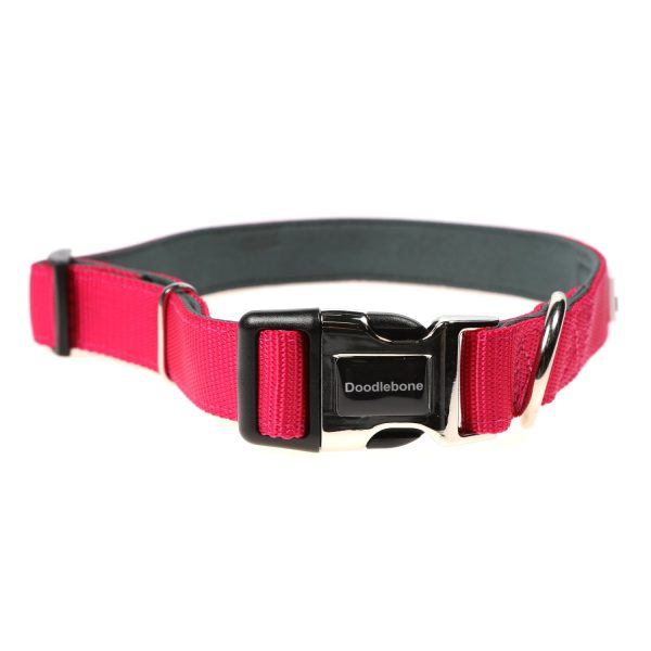 Doodlebone Originals Padded Dog Collar Fuchsia 3 Sizes Cheap