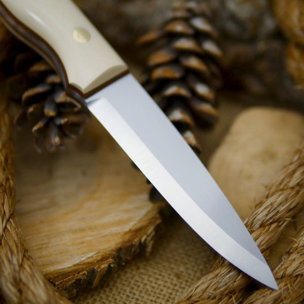 Mountaineer: 5 32 O1, Ivory Paper & Brown Canvas Online Sale