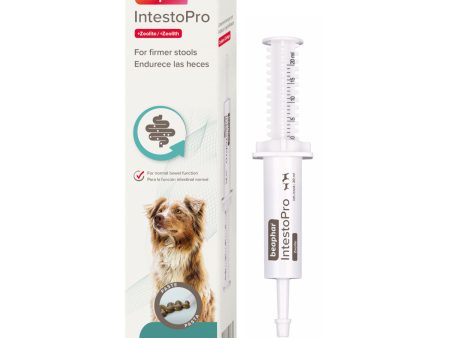 Beaphar IntestoPro Paste 40ml Digestion Relief for Dogs Supply