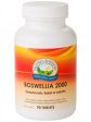 Nature s Sunshine Boswellia 2000mg 90 Tablets - Herbal Supplement Online Hot Sale