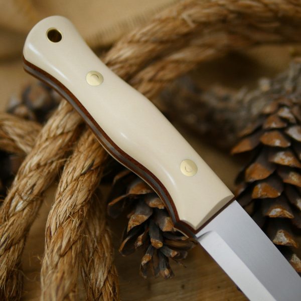 Mountaineer: 5 32 O1, Ivory Paper & Brown Canvas Online Sale