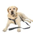 Doodlebone Originals Dog Lead 1.2m Coal 3 Sizes Online