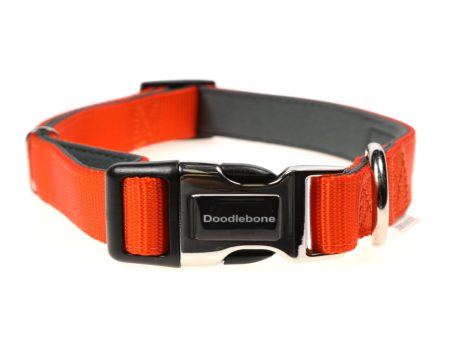 Doodlebone Originals Padded Dog Collar Tangerine 3 Sizes For Discount