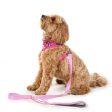 Doodlebone Originals Dog Lead 1.2m Violet 3 Sizes For Discount