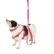 Doodlebone Originals Dog Lead 1.2m Ruby 3 Sizes Online Hot Sale