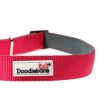 Doodlebone Originals Padded Dog Collar Fuchsia 3 Sizes Cheap