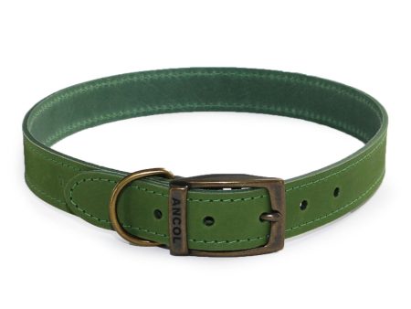 Ancol Timberwolf Leather Collars Green 8 Sizes Online Hot Sale